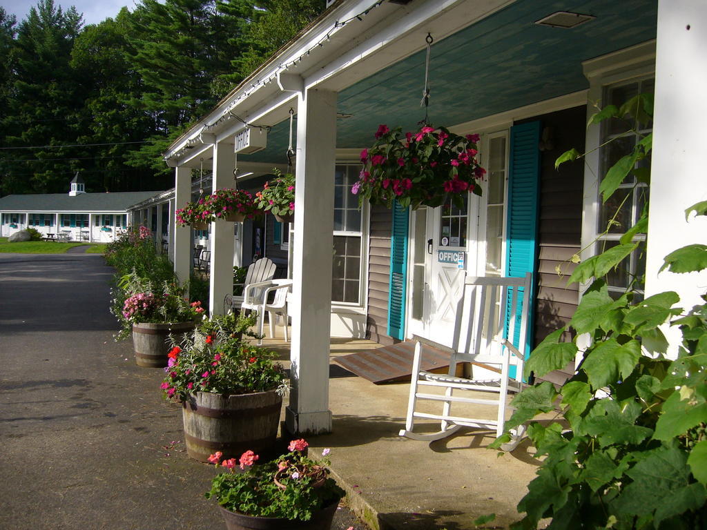 White Trellis Motel Норт-Конвей Екстер'єр фото